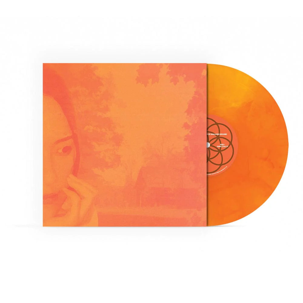 DJNOTADJ - DEEP ROOTS IN SHALLOW GROUND LIMITED EDITION 2X VINYL